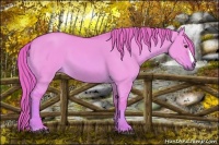 Horse Color:Watercolor Red Dun 
