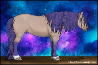 Horse Color:Watercolor Bay Dun 