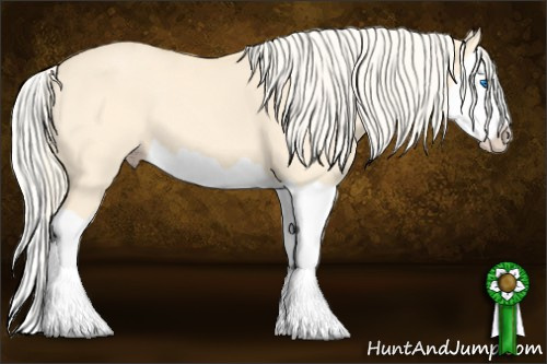 Horse Color: Gold Cream Champagne Dun Splash 