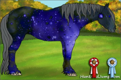 Horse Color: ERROR: UNKNOWN ANOMALY