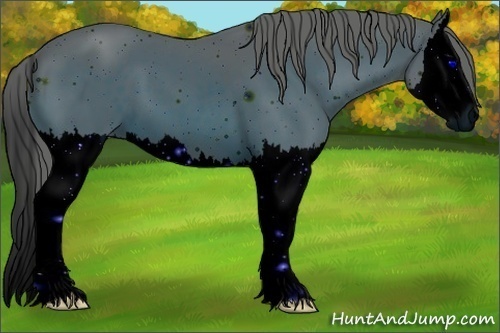 Horse Color: ERROR: UNKNOWN ANOMALY