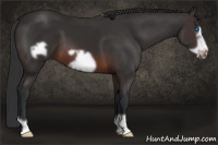 Horse Color:Brown Frame 