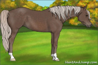 Horse Color:Silver Black 