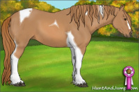 Horse Color:Chestnut Tobiano 