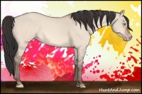 Horse Color:Amber Champagne Dun 