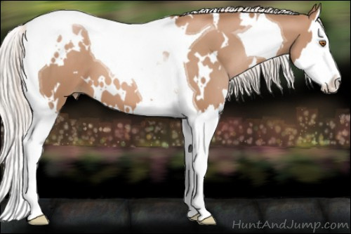 Horse Color: White Spotted Silver Black Pearl Splash Tobiano 