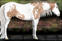 Horse Color:White Spotted Silver Black Pearl Splash Tobiano 