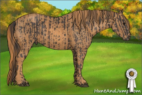 Horse Color: Smoky Black Sabino  Brindle