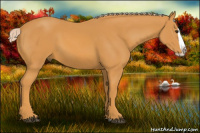 Horse Color:Chocolate Palomino Splash