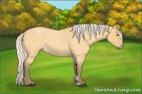 Horse Color:Silver Buckskin Roan Dun Sabino 