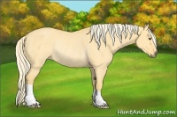 Horse Color:Palomino Dun Rabicano 