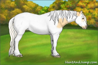 Horse Color:Palomino Dun Splash Tobiano Frame Rabicano 
