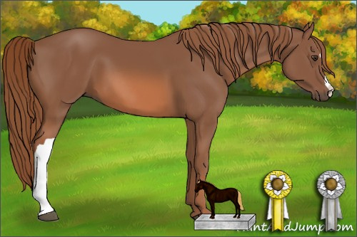 Horse Color: Liver Chestnut 