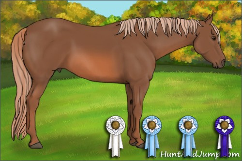 Horse Color: Chestnut Sabino 