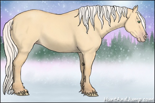 Horse Color: Silver Amber Cream Champagne Dun 