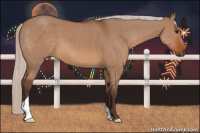 Horse Color:Silver Bay Dun 