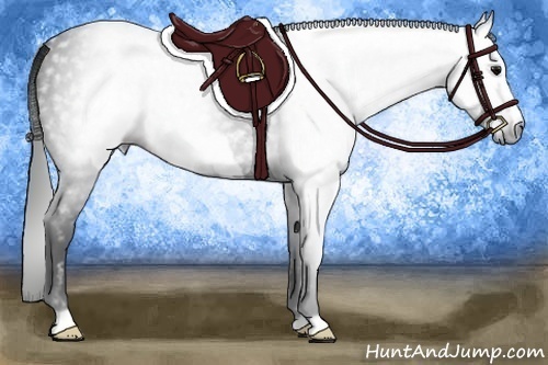 Horse Color:Gray Smoky Black Frame 