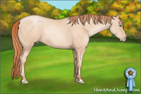 Horse Color:Classic Champagne Pearl 