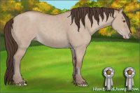 Horse Color:Classic Champagne Dun 