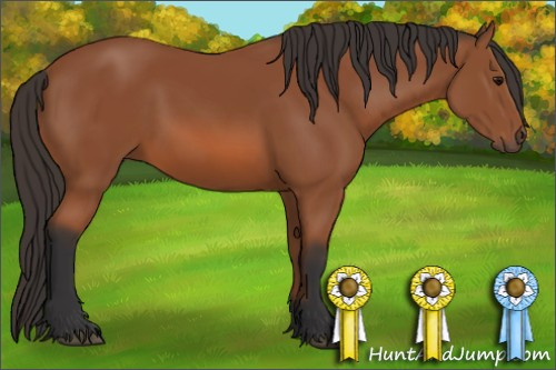 Horse Color: Bay 