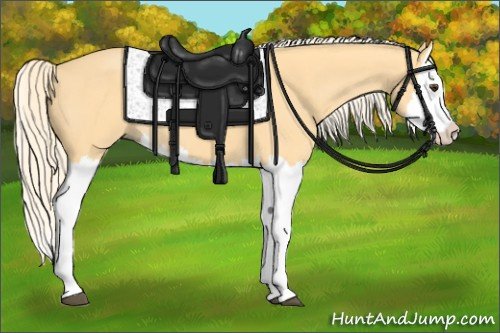 Horse Color: Palomino Splash 