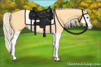 Horse Color:Palomino Splash 