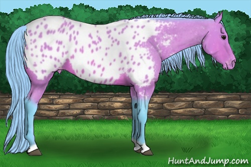 Horse Color: Watercolor Bay Near Leopard 