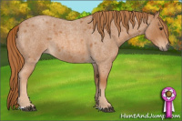 Horse Color:Red Roan 