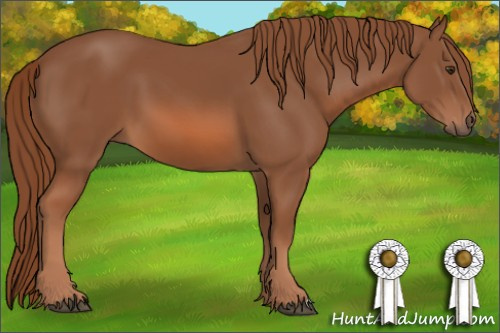 Horse Color: Chestnut 