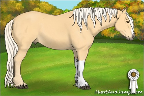 Horse Color: Palomino 
