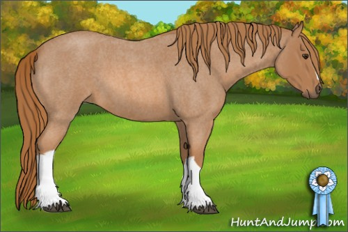 Horse Color: Red Roan 