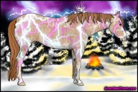 Horse Color:Red Ice Roan Frame 