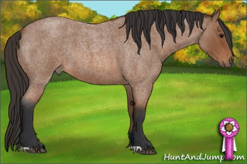 Horse Color: Bay Roan 