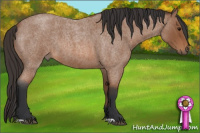 Horse Color:Bay Roan