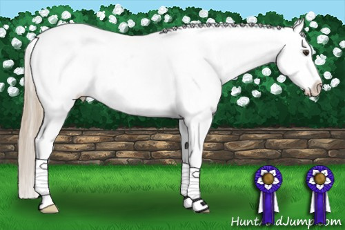 Horse Color: Chestnut Splash Snowcap 