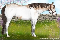 Horse Color:White Spotted Amber Champagne Frame 