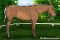 Horse Color:Silver Bay 
