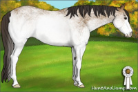Horse Color:White Spotted Buckskin Sabino 