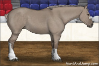 Horse Color:Silver Grullo 