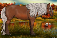 Horse Color:Silver Bay 