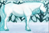 Horse Color:Gray Thunderstruck Bay 