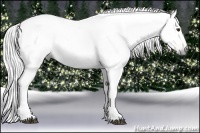 Horse Color:Gray Red Dun Ice 