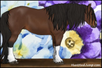 Horse Color:Gray Bay 