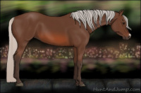 Horse Color:Silver Brown 