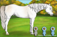 Horse Color:Gray White Spotted Silver Amber Cream Champagne Dun 