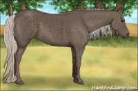 Horse Color:Silver Black 