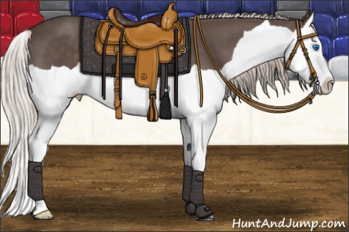 Horse Color: Silver Black Splash 