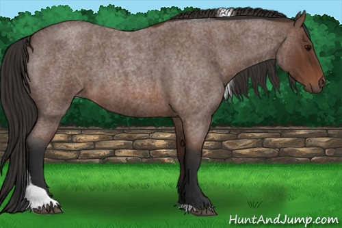 Horse Color: Bay Roan Tobiano 