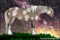 Horse Color:Silver Brown Ice Roan Tobiano Rabicano