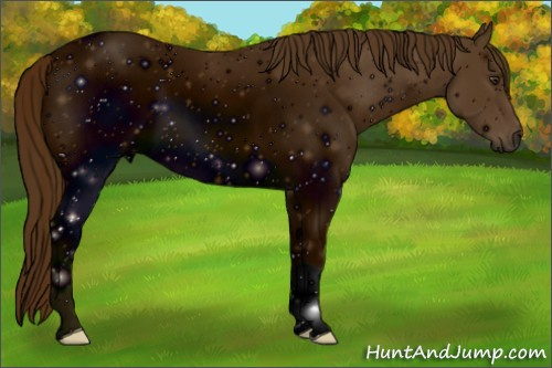 Horse Color: ERROR: UNKNOWN ANOMALY